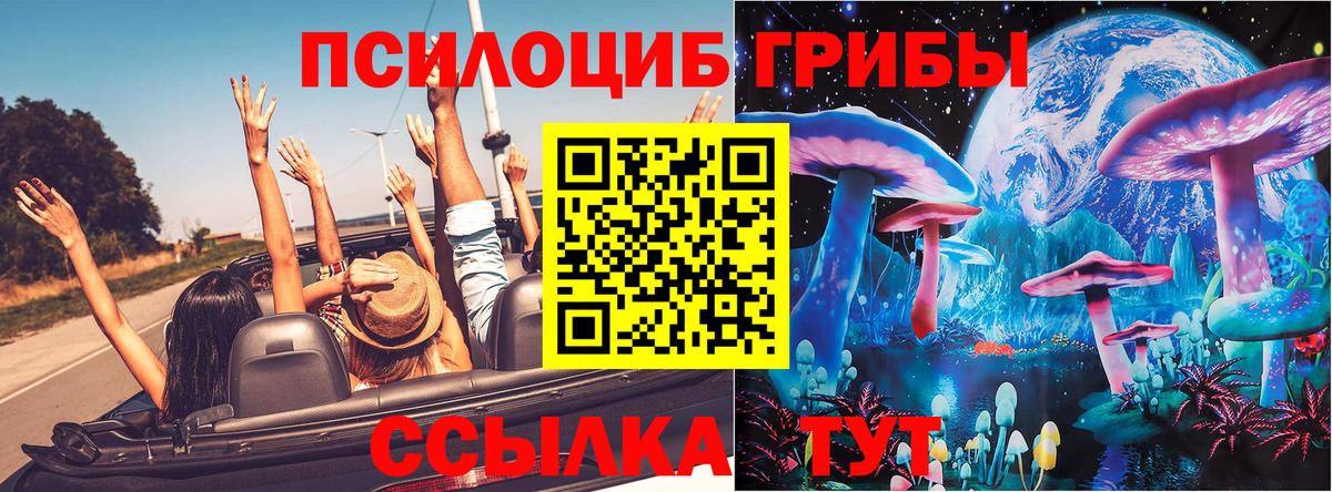 Пенза  Галлюциногенные грибы MAGIC MUSHROOMS  Вход с VPN 